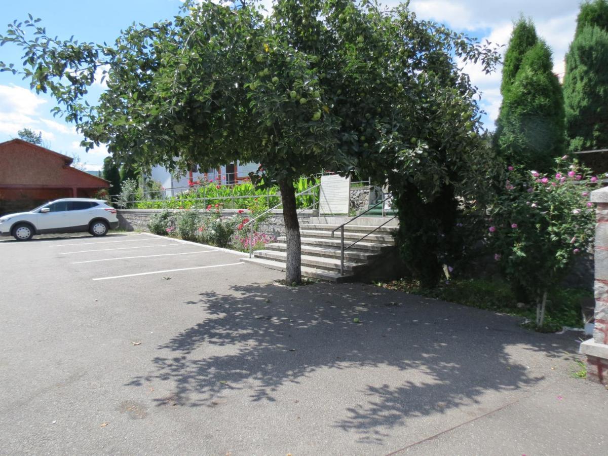 Pensiunea Cetina Brad  Exterior photo