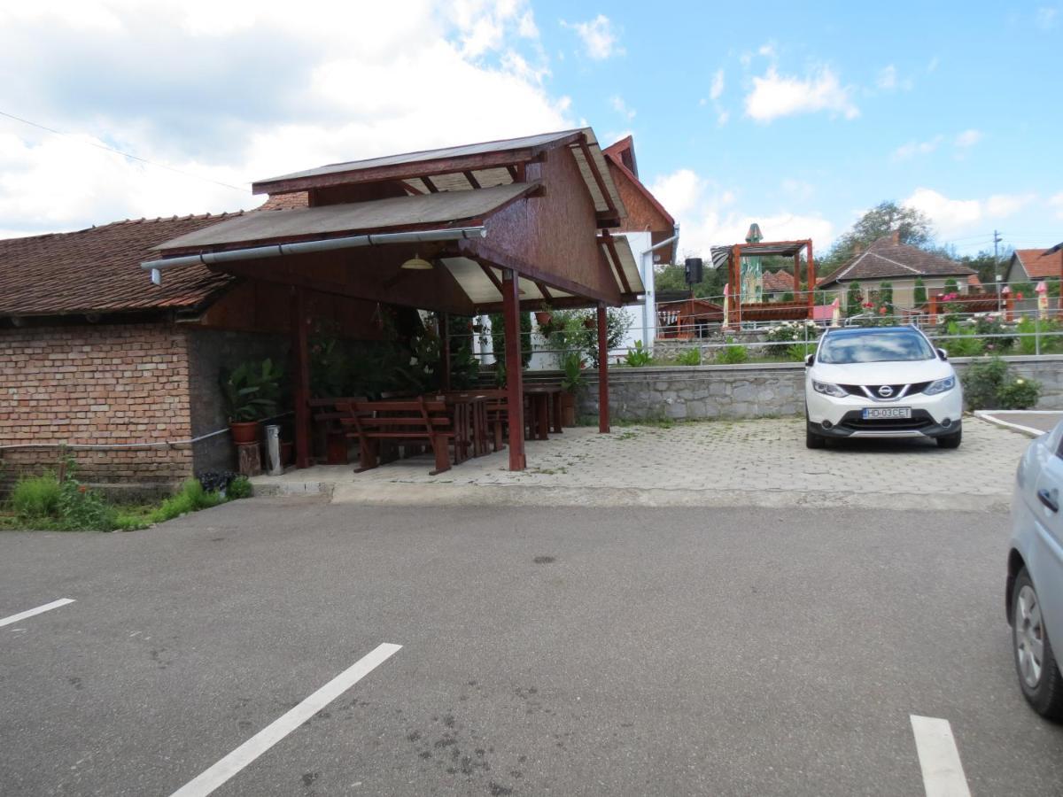 Pensiunea Cetina Brad  Exterior photo