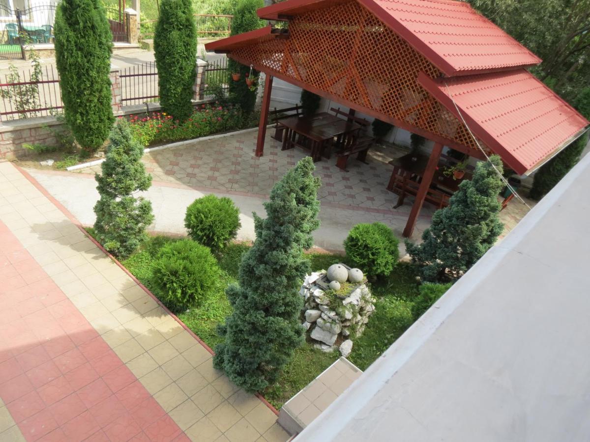 Pensiunea Cetina Brad  Exterior photo