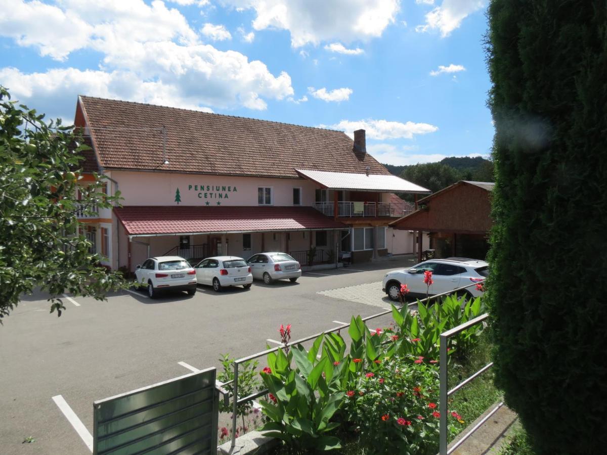 Pensiunea Cetina Brad  Exterior photo