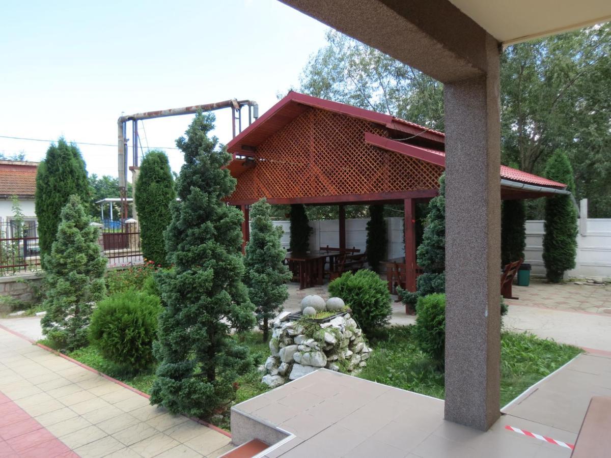 Pensiunea Cetina Brad  Exterior photo
