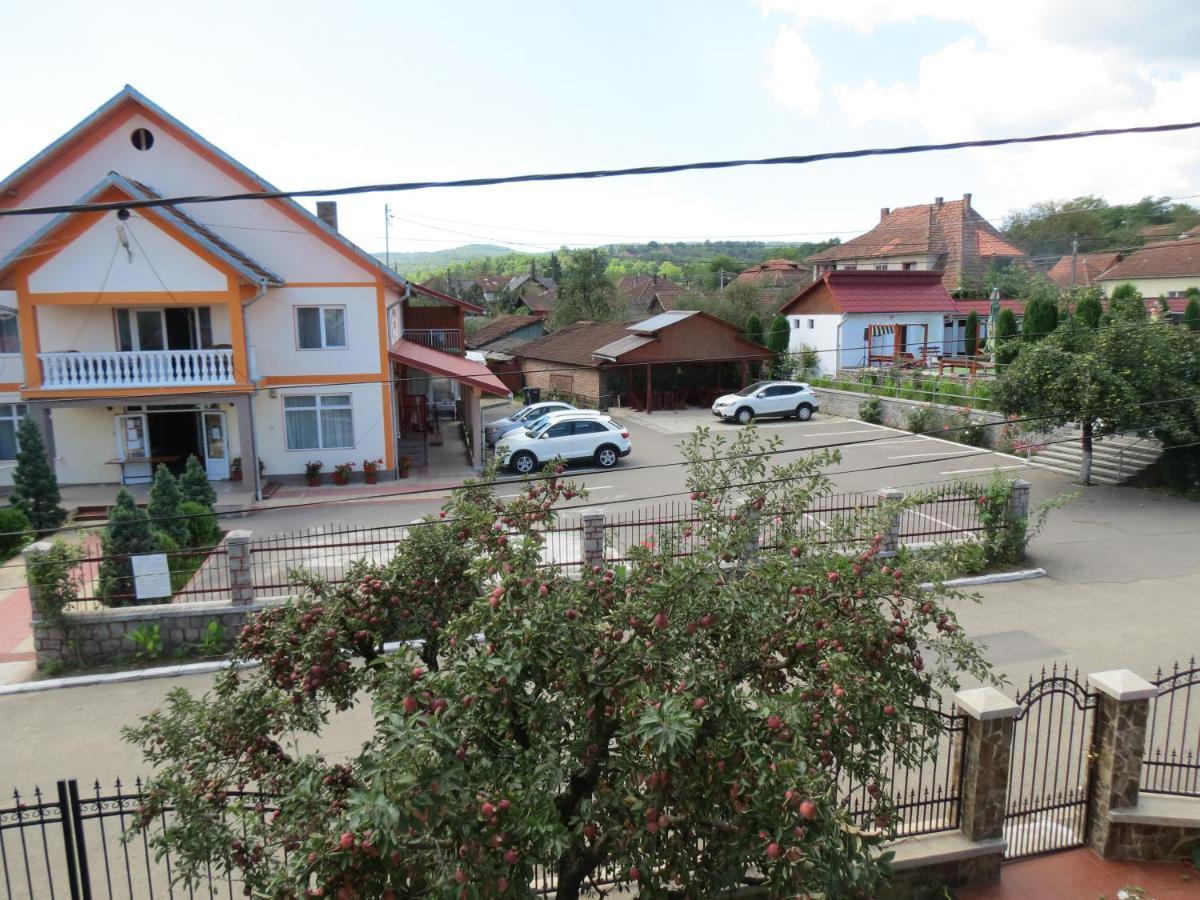 Pensiunea Cetina Brad  Exterior photo