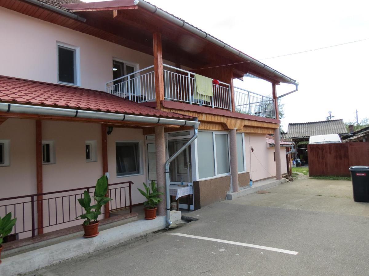 Pensiunea Cetina Brad  Exterior photo