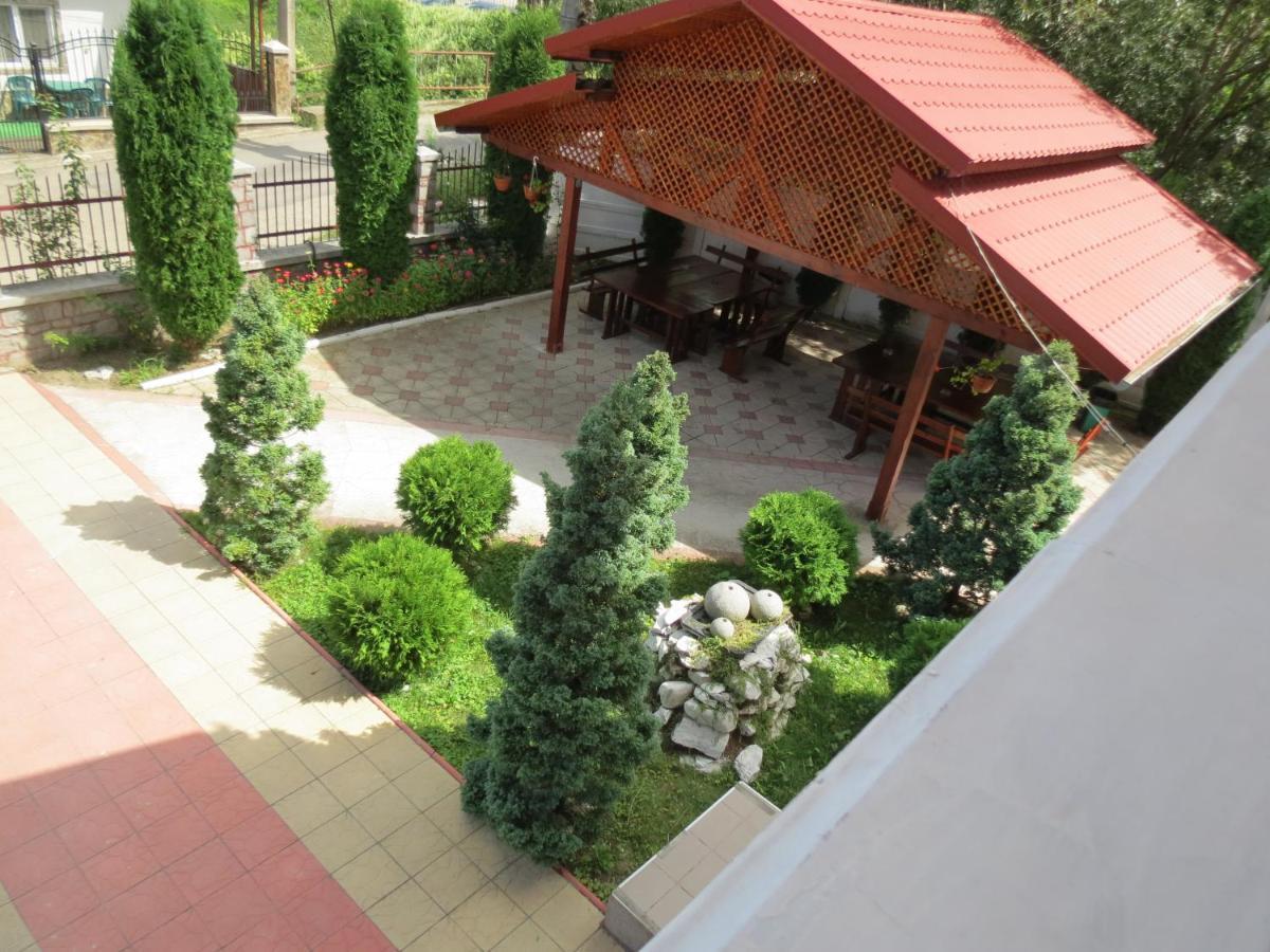 Pensiunea Cetina Brad  Exterior photo