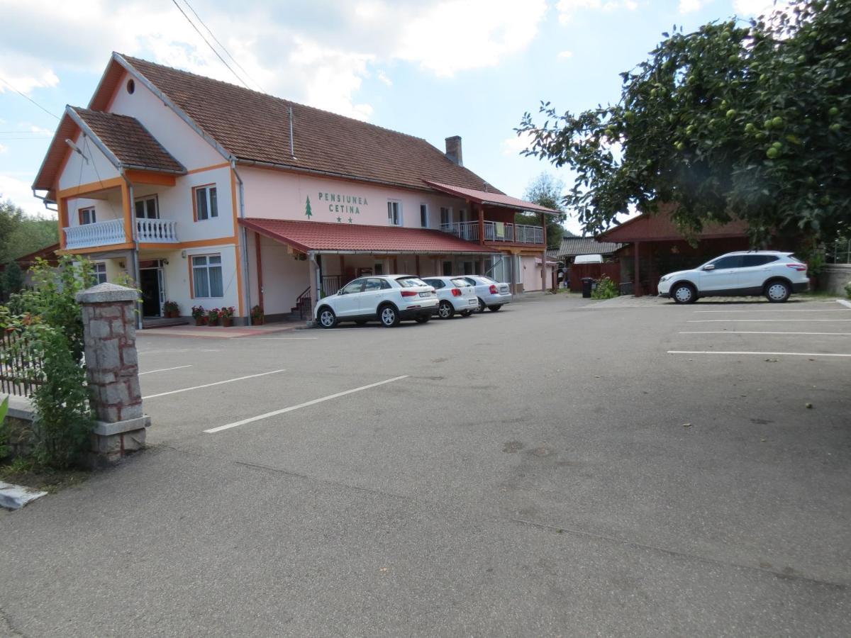 Pensiunea Cetina Brad  Exterior photo