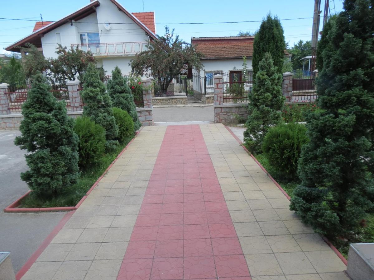Pensiunea Cetina Brad  Exterior photo